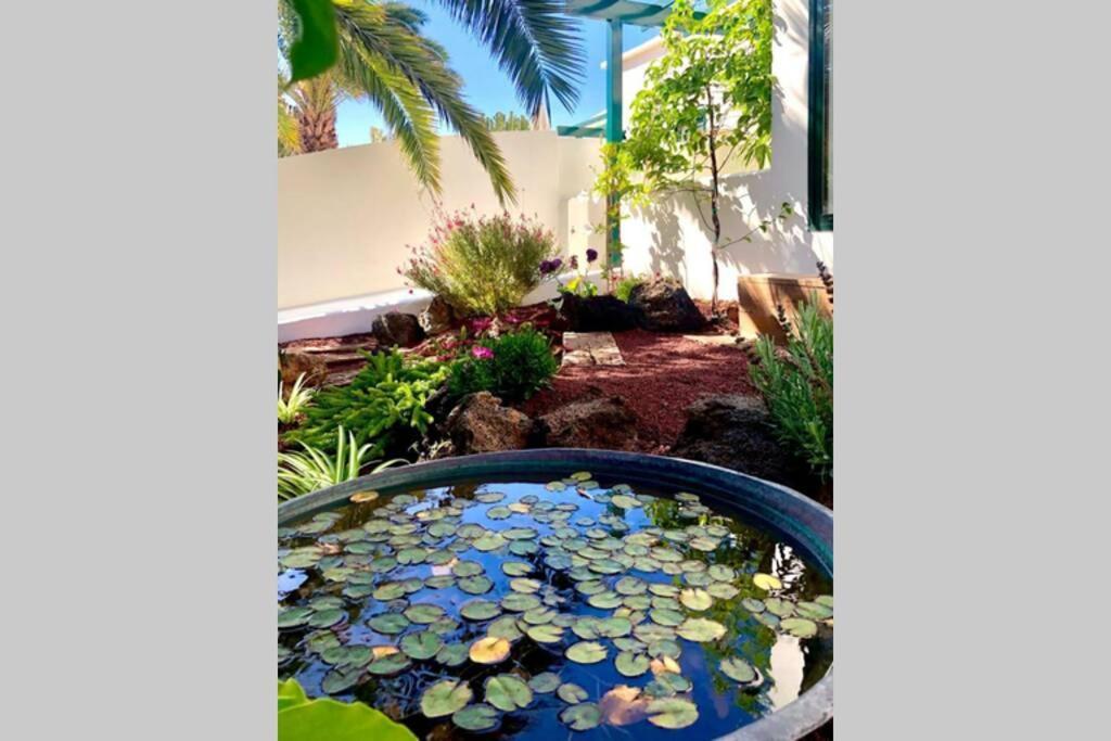 فيلا Unique, Stylish & Calm El Estanque By The Sea, Adults Only كوستا تاغيسي المظهر الخارجي الصورة